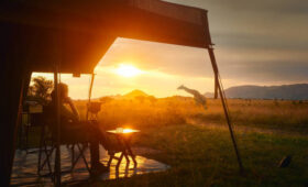 Magic of Kenya