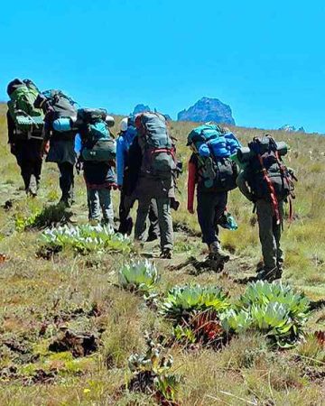 A Trekker's Adventure