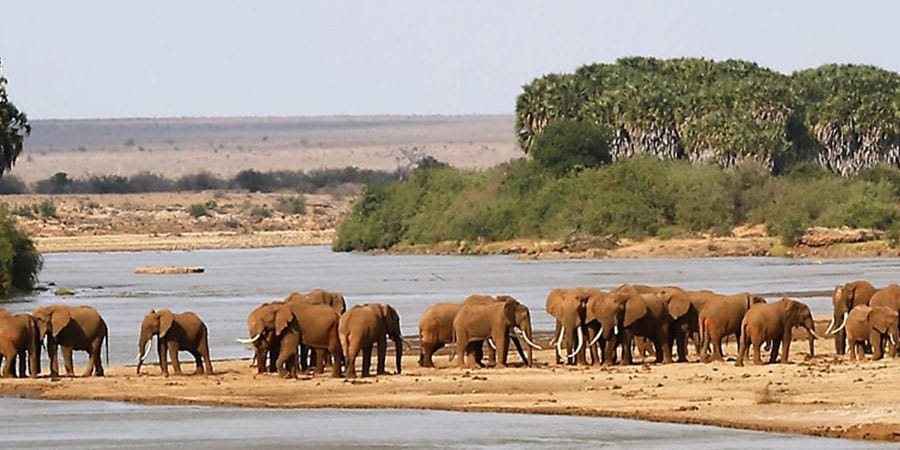 Tsavo West Safari