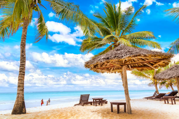DIani Beach Safari