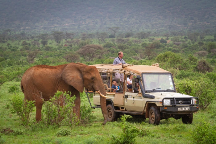 Tsavo Safari and Later Diani
