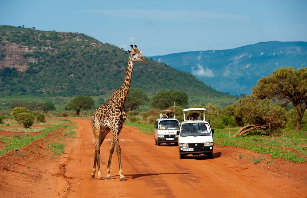 Tsavo Safari Package